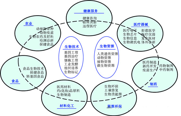生物經濟,一諾生物,廠家,工廠,生產廠家,生物經濟規模