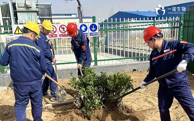 共植綠色未來,化工企業植樹活動,環保,綠色工廠